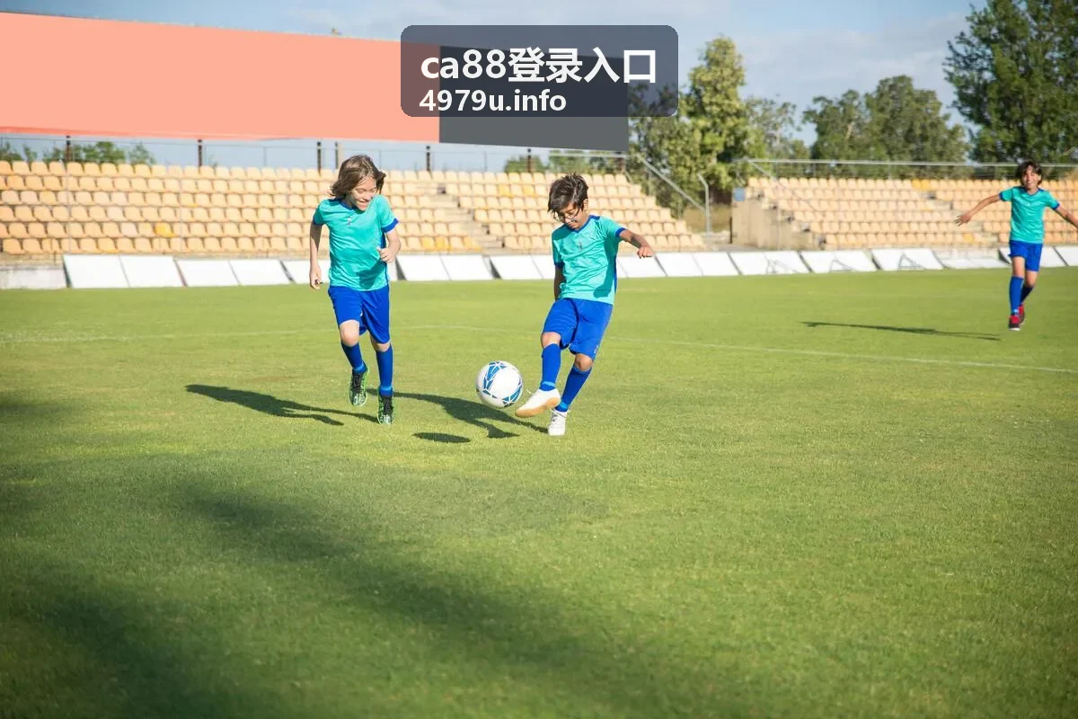 ca88登录入口常见问题与处理封面